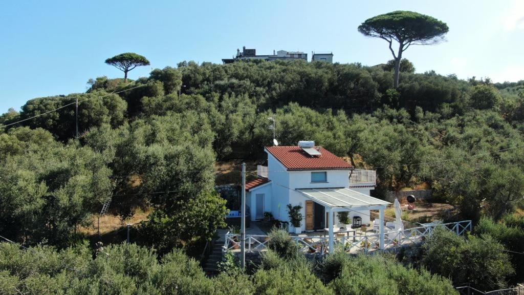 Villa Manu Massa Lubrense Exteriör bild