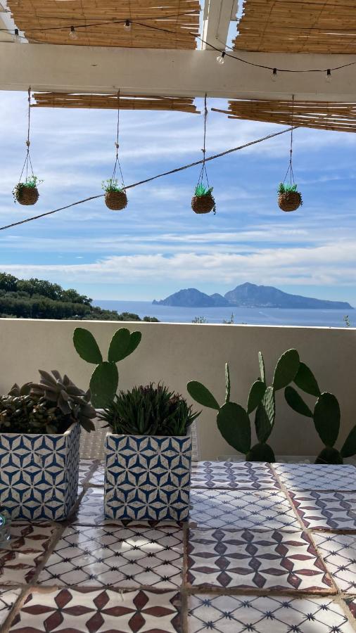 Villa Manu Massa Lubrense Exteriör bild