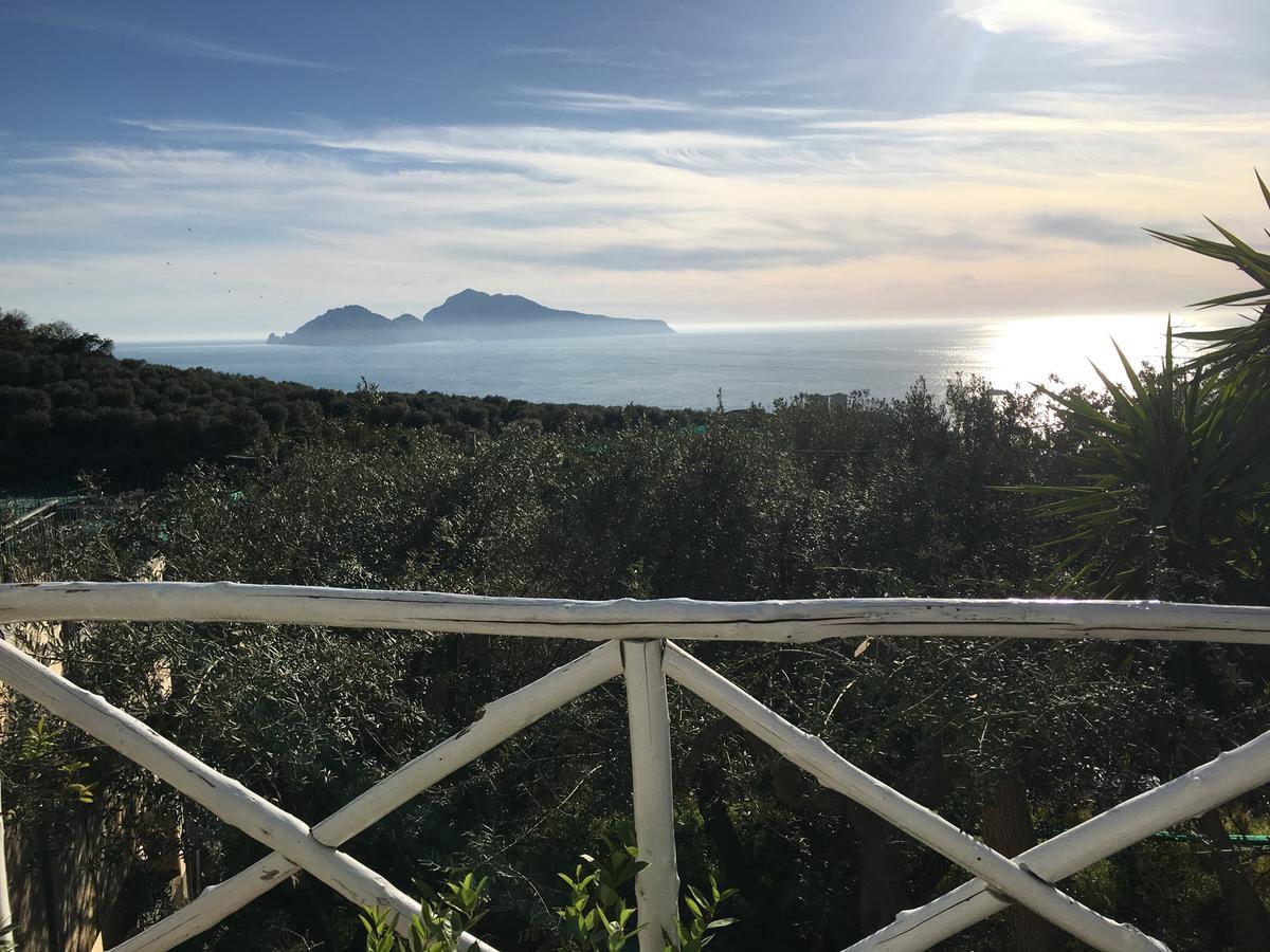 Villa Manu Massa Lubrense Exteriör bild